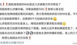爆料王丽坤老公信息最新,神秘富豪背景引热议