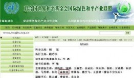 和平基金最新爆料,深度解析国际和平发展新动向