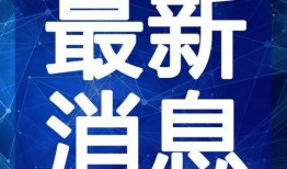 泉城爆料美食视频大全最新,最新爆料视频大全，带你领略地道风味