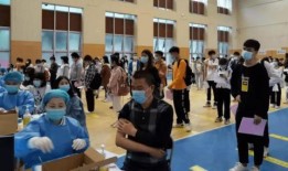 黄山游客爆料最新消息视频,惊现神秘奇观，视频揭秘黄山最新奇景