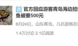 青岛热搜爆料事件最新,揭秘背后真相，事件最新进展全解析